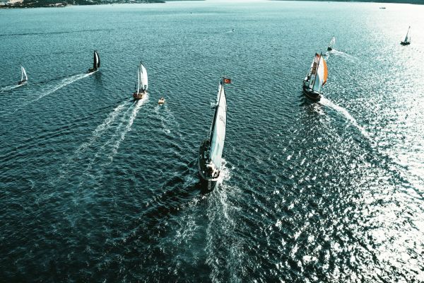 Les grandes courses de voiliers dans le monde
